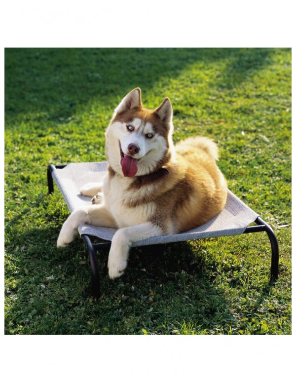 Elevated Indoor/Outdoor Pet Cot